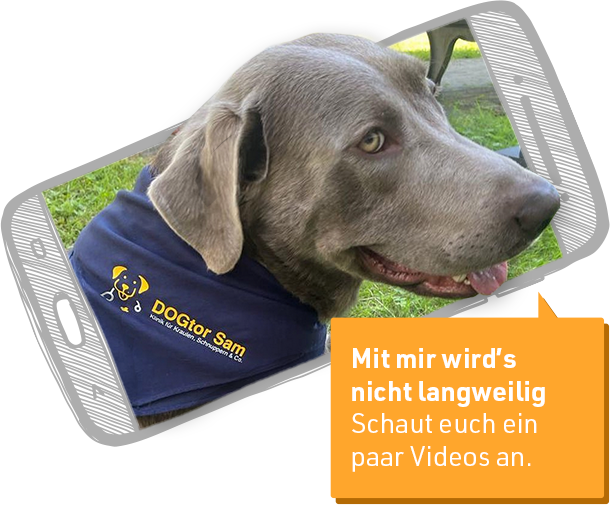 dogtor-sam-on-smartphone